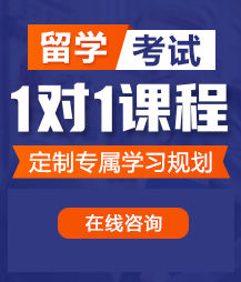 操胖逼视频网留学考试一对一精品课